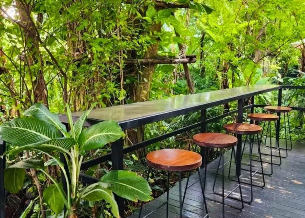 Long outdoor counter with wooden stools surrounded by dense jungle greenery