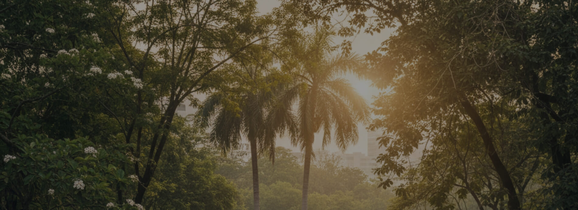 Be Like Vic_Find Peace and Adventure in Bangkok’s Parks and Recreation Areas