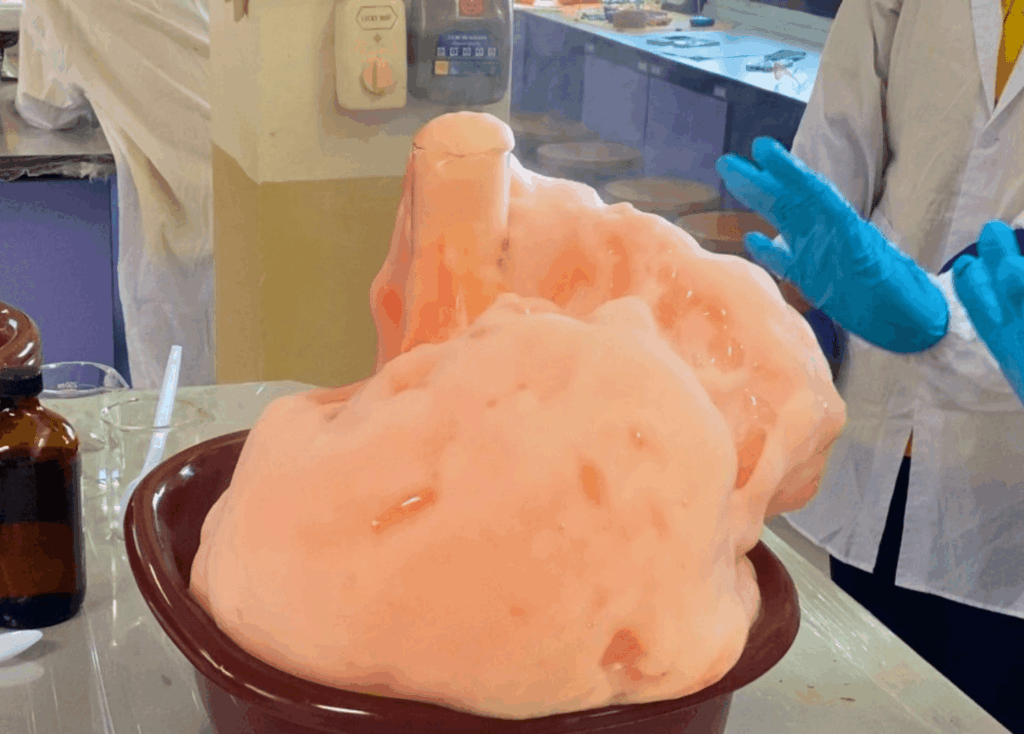 Saipanyarangsit (SPR) School BFITS Thailand Program Students results of the Elephant’s Toothpaste Experiment_Exploring Catalysts and Exothermic Reactions