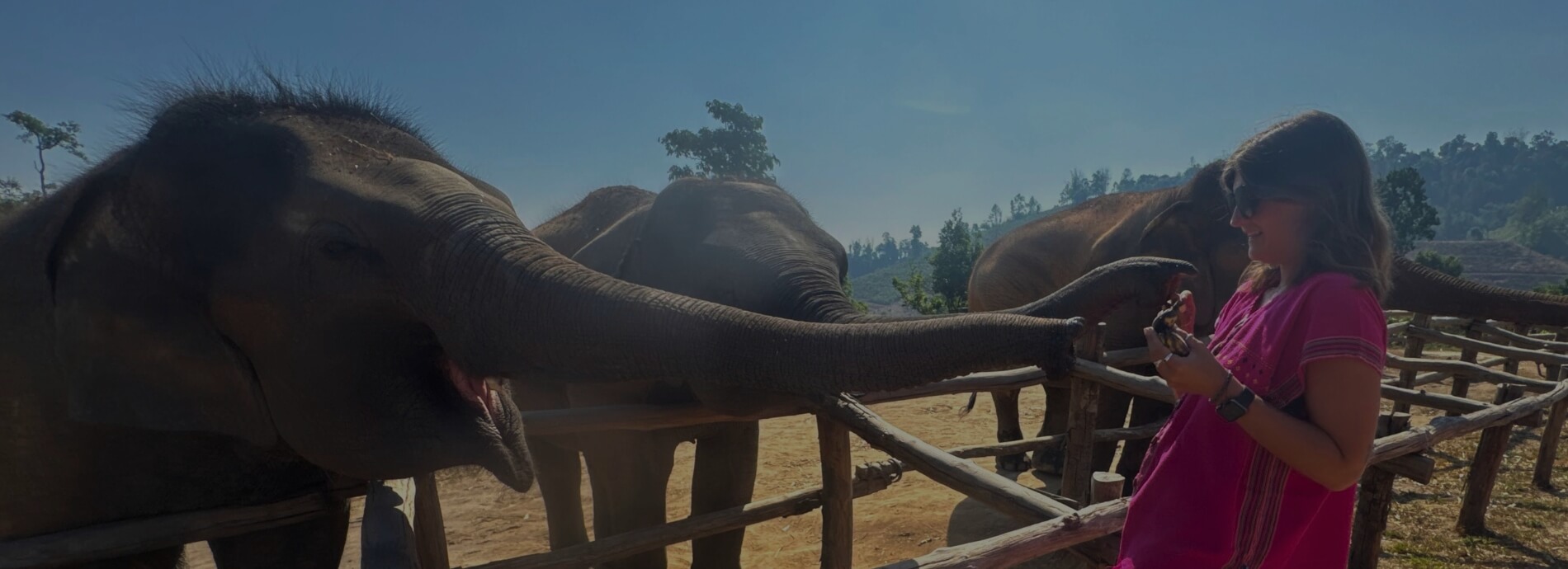 Be Like Briony_Experience Freedom Through Teaching and Travel in Thailand