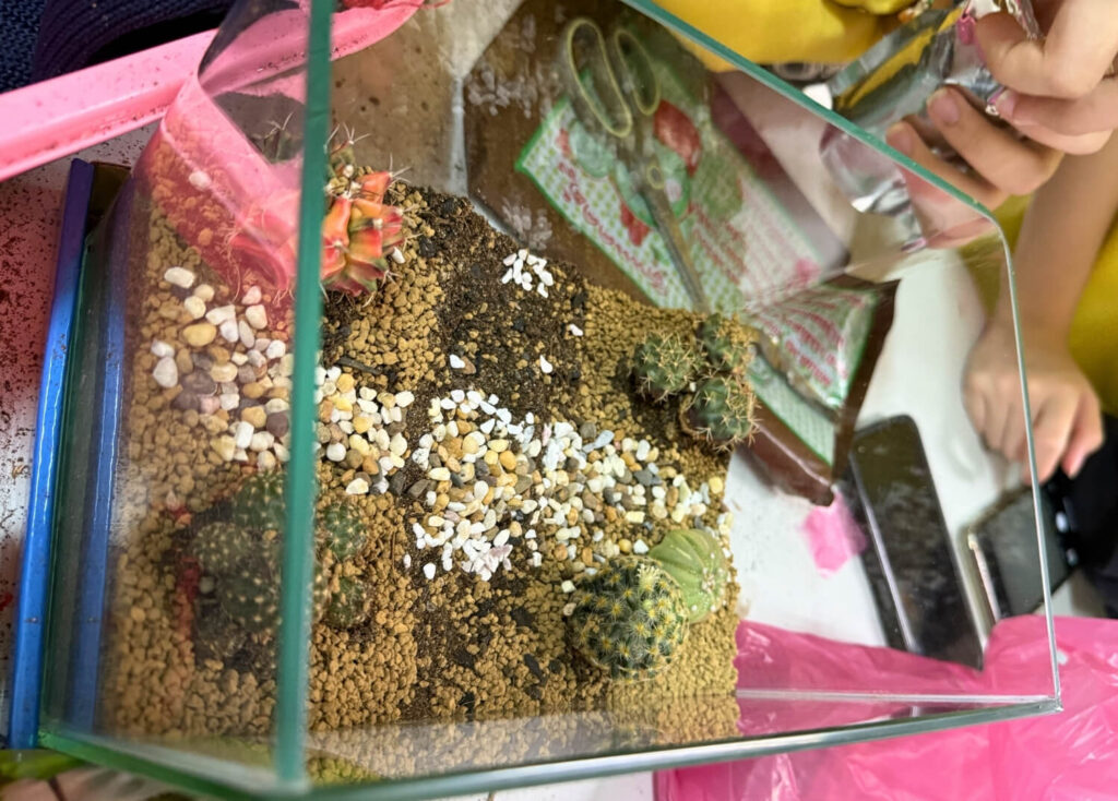 Expected Observations during the Terrarium Ecosystem Project (Matter and Energy in the Environment)